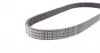 6PK873ELAST Ремінь генератора Citroen Jumper/Peugeot Boxer 2.0/2.2HDi 04- (-AC)/Opel Movano 2.5D CONTITECH підбір по vin на Brocar