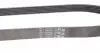 6PK873ELAST Ремінь генератора Citroen Jumper/Peugeot Boxer 2.0/2.2HDi 04- (-AC)/Opel Movano 2.5D CONTITECH підбір по vin на Brocar