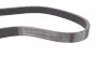 6PK900 Ремінь генератора VW Caddy/Golf/Skoda Octavia 1.6/2.0 04-15/Fiat Ducato 2.5TDI 94-02/Scudo 1.6 96-06 CONTITECH підбір по vin на Brocar