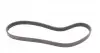 6PK900 Ремінь генератора VW Caddy/Golf/Skoda Octavia 1.6/2.0 04-15/Fiat Ducato 2.5TDI 94-02/Scudo 1.6 96-06 CONTITECH підбір по vin на Brocar