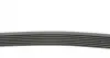 7PK1035 Ремень генератора Renault Clio III/Modus/Twingo 1.2 05-/BMW 7 (E38) 5.4 94-01/Nissan Pathfinder 12- CONTITECH підбір по vin на Brocar
