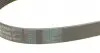 7PK1035 Ремень генератора Renault Clio III/Modus/Twingo 1.2 05-/BMW 7 (E38) 5.4 94-01/Nissan Pathfinder 12- CONTITECH підбір по vin на Brocar