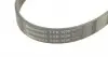 7PK1035 Ремень генератора Renault Clio III/Modus/Twingo 1.2 05-/BMW 7 (E38) 5.4 94-01/Nissan Pathfinder 12- CONTITECH підбір по vin на Brocar