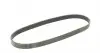 7PK1035 Ремень генератора Renault Clio III/Modus/Twingo 1.2 05-/BMW 7 (E38) 5.4 94-01/Nissan Pathfinder 12- CONTITECH підбір по vin на Brocar