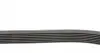 7PK1125 Ремень генератора Renault Megane/Scenic 1.9dCi/2.0 03-/Nissan Juke 1.6 10- CONTITECH підбір по vin на Brocar