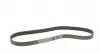 7PK1125 Ремень генератора Renault Megane/Scenic 1.9dCi/2.0 03-/Nissan Juke 1.6 10- CONTITECH підбір по vin на Brocar