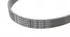7PK1272 Ремень генератора VW Touareg 3.0 Hybrid 10-18/Audi A4/A6/A7/Q5/Q7 3.0TFSI 08-17 CONTITECH підбір по vin на Brocar