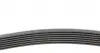 7PK1635 Ремень генератора BMW 5 (E39/F10)/7 (E38) 3.5i/4.0i 96-03 (7PK1635) CONTITECH підбір по vin на Brocar