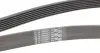 7PK1635 Ремень генератора BMW 5 (E39/F10)/7 (E38) 3.5i/4.0i 96-03 (7PK1635) CONTITECH підбір по vin на Brocar