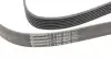 7PK1635 Ремень генератора BMW 5 (E39/F10)/7 (E38) 3.5i/4.0i 96-03 (7PK1635) CONTITECH підбір по vin на Brocar