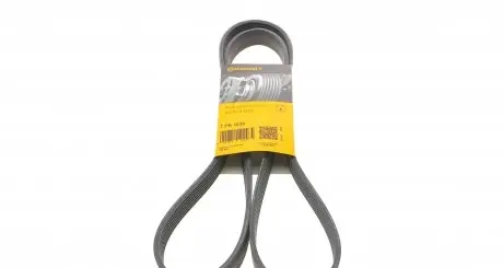 7PK1635 Ремінь генератора BMW 5 (E39/F10)/7 (E38) 3.5i/4.0i 96-03 (7PK1635) CONTITECH підбір по vin на Brocar