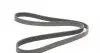 7PK1635 Ремень генератора BMW 5 (E39/F10)/7 (E38) 3.5i/4.0i 96-03 (7PK1635) CONTITECH підбір по vin на Brocar