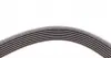 7PK1666 Ремінь генератора BMW X5 (E70) 4.8i 07-08/Renault Master/Opel Movano 2.3 dCi/CDTI 10- (7PK1666) CONTITECH підбір по vin на Brocar