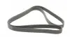 7PK1910 Ремень генератора Ford Scorpio II 2.5TD 94-98/Toyota Camry 2.4i 06-11/Avensis 2.0 01-09 CONTITECH підбір по vin на Brocar