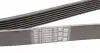 7PK2276 Ремінь генератора MB M-class (W163) 4.0 CDI 01-05/Jeep Grand Cherokee 5.2i 92-99 CONTITECH підбір по vin на Brocar