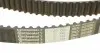 CT1064 Ремень ГРМ Renault Laguna/Megane/Scenic/Nissan Primera 1.9dCi 02-/Suzuki Grand Vitara 05-15 (133x26) CONTITECH підбір по vin на Brocar