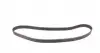 CT1092 Ремінь ГРМ Citroen Berlingo/C4/C5/Jumpy/Peugeot Partner/207/3008/307/308 1.6HDi 05- (137x25) CONTITECH підбір по vin на Brocar