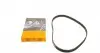 CT539 Ремінь ГРМ Audi 100/200/90 1.9-2.3 80-93 (142x19) CONTITECH підбір по vin на Brocar