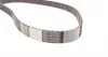 CT614 Ремень ГРМ Nissan Cherry/Sunny 1.7D 81-91 (25.4x117z) CONTITECH підбір по vin на Brocar