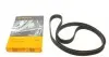 Ремень ГРМ Audi 100/A4/A6/A8 2.6/2.8 96-01 (239x25) CT726
