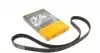 CT790 Ремень ГРМ Kia Sportage/Mazda 626 2.0 16V 94-03 (25x168z) CONTITECH підбір по vin на Brocar