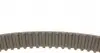 CT836 Ремень ГРМ Mitsubishi L 200/L400 2.4 4WD 95-07/Haval H5 2.4 10- (29x124z) CONTITECH підбір по vin на Brocar