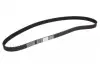 Ремень ГРМ Fiat Bravo/Marea/Lancia Kappa/Lybra 2.0 20V 95-05 (24x167z) CT880