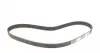 CT974 Ремень ГРМ Land Rover 1.8 16V 98-06/Rover 45/75 1.4-1.8 00-05 (26x145z) CONTITECH підбір по vin на Brocar