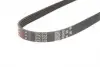 5PK978 Ремень поликлин. 5PK978 (пр-во Gates) GATES підбір по vin на Brocar