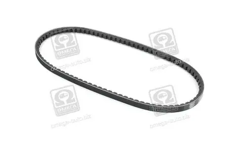 VKMV13AVX875 Ремень клиновой 13AVx875 (пр-во SKF) SKF подбор по vin на Brocar