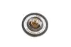 7282880000 Термостат Ford Transit 2.5D/TD 91-00/Connect 1.8 02- (88°С) (з прокладкою) MEYLE підбір по vin на Brocar