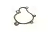 P1HA006 Прокладка помпы (пр-во PARTS-MALL) PARTS-MALL підбір по vin на Brocar