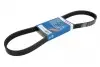 Ремень генератора Ford Fiesta/Fusion 1.25-1.6Ti 01- (6PK1019) 1 987 946 142
