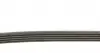 5PK725 Ремінь генератора Citroen Berlingo 1.1-1.4 96-11/Peugeot Partner 1.1-1.4 96-15 (5PK725) DAYCO підбір по vin на Brocar