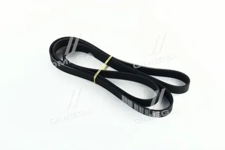 6PK1875 Ремень поликлиновый (пр-во DAYCO) DAYCO підбір по vin на Brocar