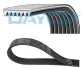 Ремінь генератора Honda Accord VIII 2.0 I 08-/ Land Rover Range Rover II 3.9-4.6 94-02 7PK2081