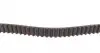 CT881K3 Комплект ГРМ Ford Mondeo/Focus 1.4/1.6i 03-/Volvo C30/S40/V50 1.6 05-12 (22x117z) CONTITECH підбір по vin на Brocar