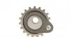 CT901K3 Комплект ГРМ Ford Escort/Mondeo/Fiesta 1.8 TD 95-02/Mazda 121 1.8D 96-03 (22x166z/22x85z) CONTITECH підбір по vin на Brocar