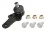 Опора кульова (передня/знизу) Ford Focus 98-04 18130