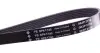 FB6PK1740 Ремень генератора Peugeot Expert/Citroen Jumpy 1.9D/TD 96-/2.0HDI 00- INA підбір по vin на Brocar