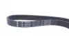 FB6PK975 Ремінь генератора Peugeot Partner 1.6 HDI 08-/Ford Connect 1.6TDCi 13- (+AC) INA підбір по vin на Brocar