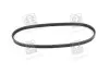 3PK630 Ремень генератора Toyota Avensis/Carina/Celica/Corolla 1.6 -01 DAYCO підбір по vin на Brocar