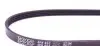 4PK853 Ремінь генератора Peugeot Partner 1.1-1.6i 96-15 DAYCO підбір по vin на Brocar