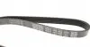 5PK1025 Ремень генератора Mazda 626 1.8i 92-97 DAYCO підбір по vin на Brocar