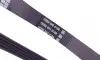 5PK1188 Ремінь генератора Fiat Palio 1.2 97-/Land Rover Freelander 1.8i 98-06 DAYCO підбір по vin на Brocar