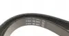 5PK1200 Ремень генератора Opel Movano 2.8DTI 98-02 AC/Renault Master 2.5D/2.8DTI 98-01 (ALT, AC) DAYCO підбір по vin на Brocar