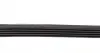 5PK1300 Ремень генератора VW Passat B5/Audi A4/A6 1.6/1.8 95- DAYCO підбір по vin на Brocar