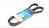 Ремінь генератора Mitsubishi Carisma 1.6/1.8i -06 5PK1340
