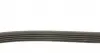 5PK1500 Ремінь генератора Rover 800 2.5 90-99 (5PK1500) DAYCO підбір по vin на Brocar