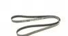 5PK1500 Ремінь генератора Rover 800 2.5 90-99 (5PK1500) DAYCO підбір по vin на Brocar